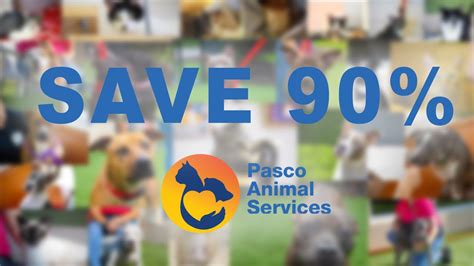 Pasco animal services - Animal Services operates the only county-maintained shelter for domestic animals in Pasco County. Since August 2012, the Animal Services shelter has operated …